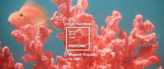 коралловый цвет психология